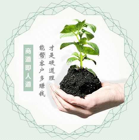 蔬菜種子經(jīng)營(yíng)，商道即人道