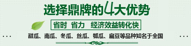 購(gòu)買(mǎi)蔬菜種子，選擇鼎牌的四大優(yōu)勢(shì)