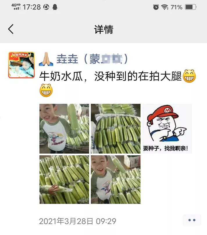 這個絲瓜每畝能掙3萬，沒種植的農(nóng)戶后悔得拍大腿