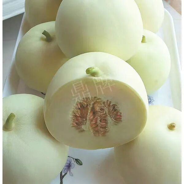 蔬菜種子種植戶種植心得-這個品種幫我留一些，4月份我們當(dāng)?shù)剡€要種一批